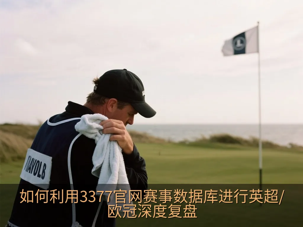 如何利用3377官网赛事数据库进行英超/欧冠深度复盘